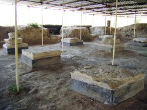 <p>Fig. 3. Column bases of the main hall at Bardak Siāh (Photo: Z. Zehbari)</p>
