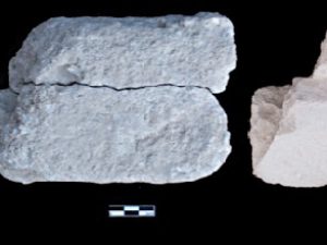 <p>Fig. 12. Two stucco fragments from Barzqawāleh 1 (photo: Sh. Hourshid)</p>
