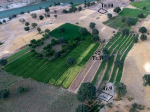 <p>Fig. 2. Aerial view of the site in 2019 (after Naseri, “The Third Season of Excavations at Deh Pāyin (Deh Doman) Graveyard,” p. 73).</p>
