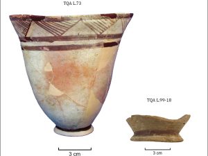 <p>Fig. 5. Two painted beakers from Iron Age III deposits of Trench A at  Qasrdasht (photo: M. T. Atayi)</p>
