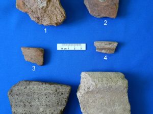 <p>Fig. 8. “Potsherds” collected during a survey in 2013: Achaemenid/post-Achaemenid (1-4) and Sassanian (5-6) (photo: M. T. Atayi)</p>
