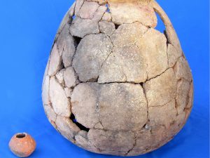 <p>Fig. 2. Mottled Hand-made Ware from Qasrdasht (photo. M. T. Atayi)</p>
