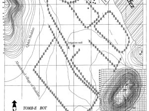 <p>Fig. 1. Topographic map of the site and find spot of the remains</p>
