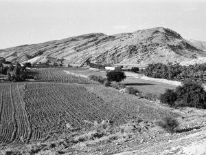 <p>Fig. 2. General view of the site (photo: A. Askari Chaverdi)</p>
