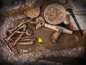 <p>Fig. 4. Chegā Soflā. Tomb of <em>Khatoun. </em>One of the single burial graves, excavated in the  2016 season (photo: Sara Freydouni, the Zohreh Prehistoric Project archive)</p>
