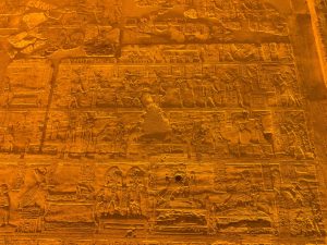 <p>Fig. 9. Part of the scene depicting 700 deities at Hibis Temple (image: R. Rollinger).</p>
