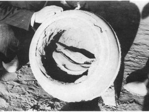 <p>Fig. 24. Hakemi’s excavations in 1955. Skull of an equid found inside the jar. Equid burials in the Parthian period are rare. (Hakemi, “The excavation of Khurha,” <em>East and West</em> 40/1, 1990, p. 38, fig. 28)</p>
