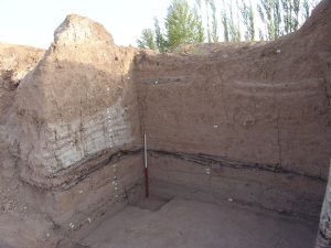 <p>Fig. 2. . The north and west walls of the stratigraphic trench at the West Mound.</p>
