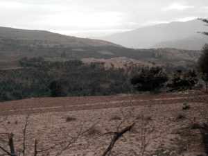 <p>Fig. 1. View of the site of Marlik overlooking the valley of the Gowhar Rud (photo: M. Mousavi)</p>
