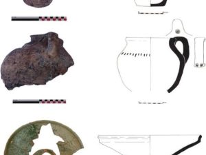 <p>Fig. 2. A selection of potteries from Gowriyeh (photo: L. Khosravi)</p>
