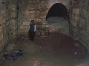 <p>Fig. 9. Vaulted hall WF adjacent to the Great eyvān in 1998. At the end of the hall is the entrance to vaulted hall WD (photo: A. Mousavi)</p>
