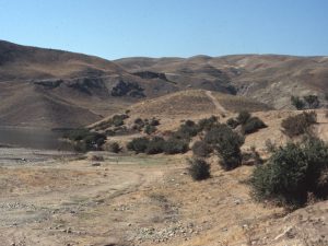 <p>Fig. 1. View of Tepe Hesarak from the north in 1995 (photo: A. Mousavi)</p>
