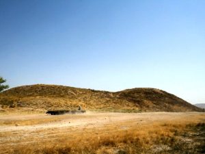 <p>Fig. 1. General view of Tepe Salmān in 2017 (image: M. Feizi)</p>
